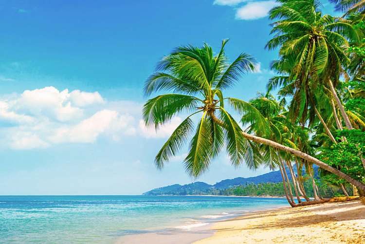 Crociera ai Caraibi